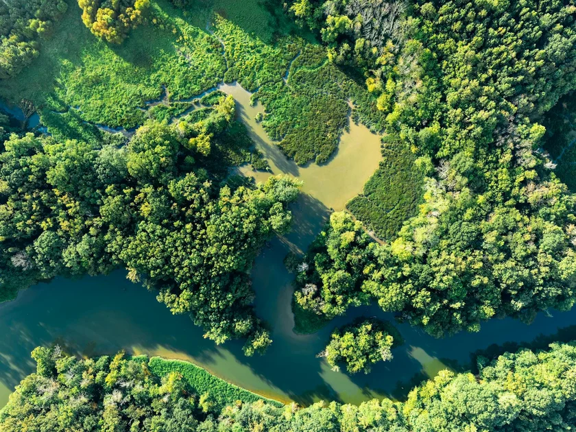 Understanding Ecosystem Compatibility
